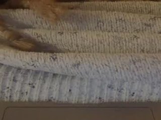 wettt93 horny cam babe - her special appeal is wet little pussy and naked body