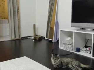 luciacoy redhead cam girl with hairy pussy waiting for her prince online