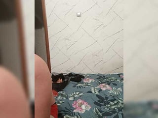 mary34561 horny couple adores fucking online
